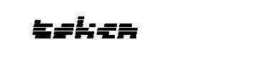Token字体