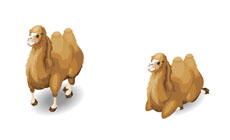 沙漠的骆驼flash矢量动画