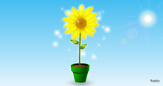 花盆里的向日葵flash动画