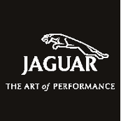 Jaguar performance