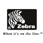 Zebra when