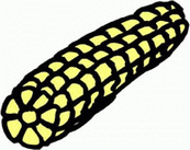 玉米矢量图下载