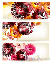 艳丽花卉装饰横幅矢量设计