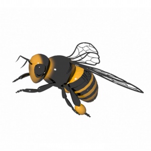 蜜蜂3D模型设计