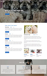 关于养狗的网站模板