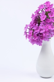 花瓶中的鲜花图片下载