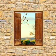 乡村窗户美丽风景图片