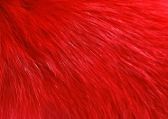 红色毛皮背景图片