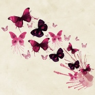 水彩蝴蝶墨迹背景图片