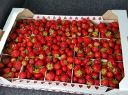 纸箱里的鲜红草莓图片