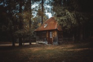 森林木房子图片