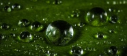 绿色水滴背景图片