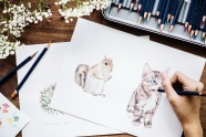 手绘动物插画图片