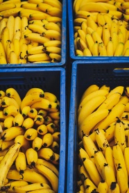 香蕉批发图片