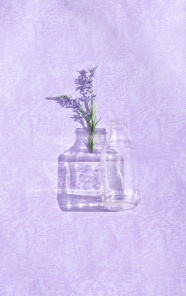 紫色花穗和空瓶子图片