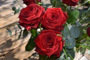 红玫瑰插花图片