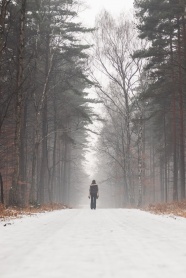 冬季清晨树林雪地人物背影图片