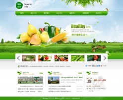 蔬果会议PSD企业网站模板