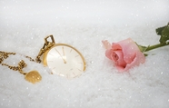 冬季雪地金色怀表粉色玫瑰花图片
