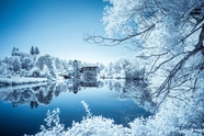 冬季唯美湖泊雾凇雪景图片