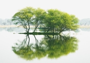 禅意古风江河树木摄影图片
