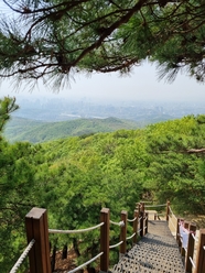 韩国自然景区木栈道风景图片