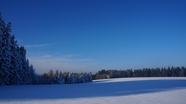 一片宽广白色雪地树林风景图片