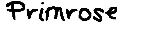 Primrose字体