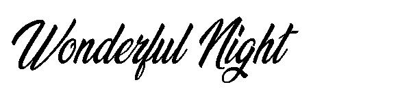 Wonderful Night字体