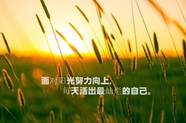 蛋白质偏高
