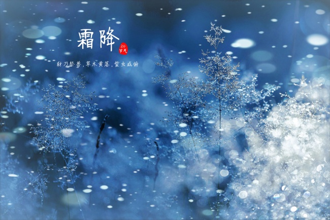 挑五指毛桃 根须细的更好
