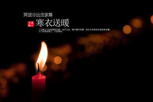 蛋白低吃什么补的快