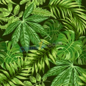 热带植物树叶背景矢量图