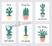 手绘仙人掌多肉盆栽