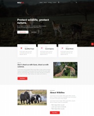 保护动物新闻资讯响应式网站模板