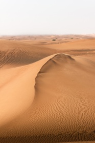 荒芜戈壁沙漠图片