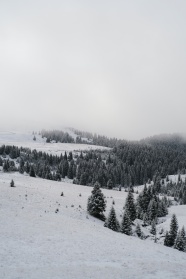 冬季一片白茫茫景观图片