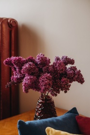 紫色风信子插花图片