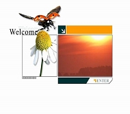 Helendesign 风景模板