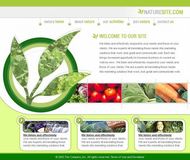植物蔬菜网站模板