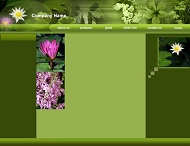 Templatesdd 花草模板