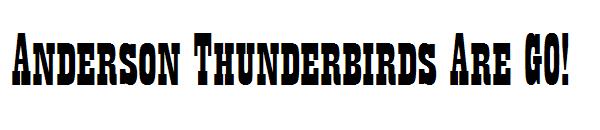 Anderson Thunderbirds Are GO!字体