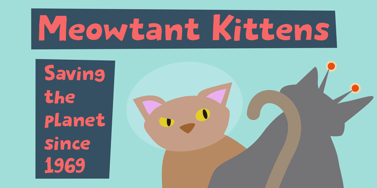 meowtant kittens 1