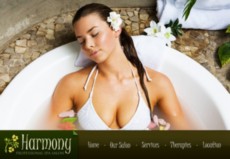 SPAN美容FLASH整站素材下载