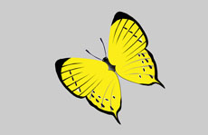黄色的蝴蝶flash动画下载