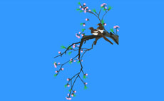 树枝上的小鸟flash动画
