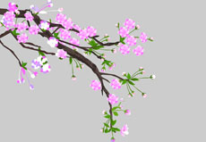 梅花树开花flash动画