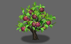 百香果树flash植物动画