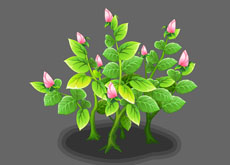 绿树长出粉色花朵flash动画