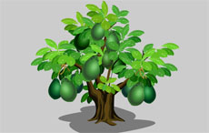 绿色的梨树flash动画